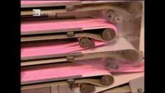 Sakız Nasıl Yapılır – Discovery Türkçe Dublaj