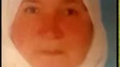 Kastamonu’da kene can aldı