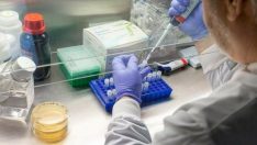 ENDİŞE VERİCİ VARYANT