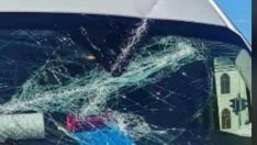 Pes Dedirten Saldırı!