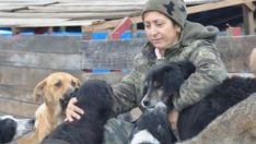 YENİ HAYVAN HAKLARI YASASI VE ÖLÜM ORUÇLARI