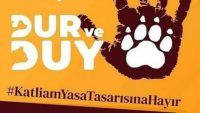 Hayvan Hakları Yasası İçin Hayvanseverler ‘Caydırıcı Değil’ Üstlenmesi Akıl Dışı!..