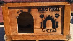 Zümrüd-ü Anka gönüllüleri can dostlara sıcak yuva yapıyor