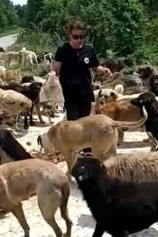PATİKA DERNEĞİ DESTEK BEKLİYOR