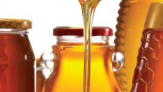 Türk bal sektörünü 138 ülkenin arıcılarına anlattılar