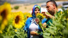 Antalya Büyükşehir’in verdiği Ayçiçek tohumları çiçek açtı