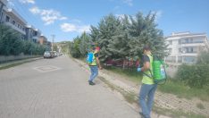 İLAÇLANIYOR, BİÇİLİYOR, TEMİZLENİYOR