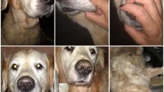 Bulut: Adapazarı’nda kayıp oldu aranıyor