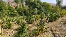 Eren Abluka Sonbahar-Kış-3 Şehit Jandarma Yüzbaşı Fuat Oğuzcan Operasyonu Başlatıldı