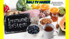 Güçlü bir bağışıklık sistemi, kanseri durdurabilir mi?”