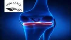 Dizinizi sakatlamak içi sporcu olmanız gerekmiyor. Menisküs ile tanışın!