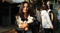 HAFTA SONUNUN KEYFİNİ HAYVANLARI SEVEREK ÇIKARDILAR