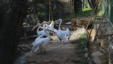 Antalya Büyükşehir’den öğrenci ve öğretmenlere yarıyıl hediyesi