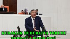 KURAKLIK HUBUBATTA TOHUMU TOPRAĞA HAPİS ETTİ.