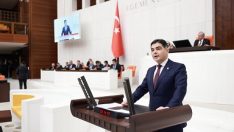 CİNİSLİ;CUMHURBAŞKANLIĞINDAKİ BAZI ÖZEL KANUNLARI ELEŞTİRDİ…