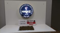 YALOVA DA UYUŞTURUCU MUCADELE