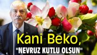 NEVRUZ KAVGA  DEĞİL BAYRAMDIR