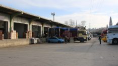 NİSAN AYINDA 10 BİN 782 TON ÇIKIŞ YAPILDI