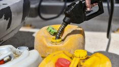 ANKARA BÜYÜKŞEHİR BELEDİYESİNİN KIRSAL KALKINMA DESTEKLERİ SÜRÜYOR: ÇİFTÇİYE TOPLAM 50 MİLYON TL’LİK MAZOT DESTEĞİ