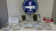 Yalova da uyuşturucu ile mücadele