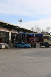 İLK YEDİ AYDA 19 BİN 432 TON ÇIKIŞ YAPILDI