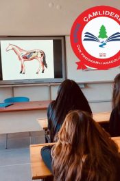 HAYVANCILIK MESLEKİ ALAN OKULU ANKARA ÇAMLIDERE’DE AÇILDI
