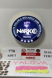 YALOVA DA  NARKOTİK OPERASYON