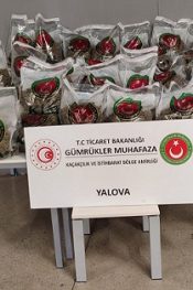 YALAOVA’DA 80 KİLOGRAM UYUŞTURUCU ELE GEÇİRİLDİ