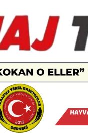 KAN KOKAN O ELLER