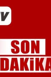 Mudanya Belediyesi: Barınak kapılarını ziyaretçilere kapattı ve