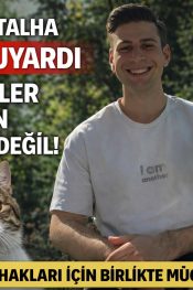 Gazeteci Talha Kaçar’dan Hayvanseverlere Hukuki Uyarı: “Genelgeler Hukukun Üstünde Değil”