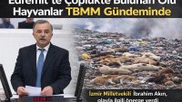 Edremit’te Çöplükte Bulunan Ölü Hayvanlar TBMM Gündeminde