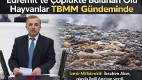 Edremit’te Çöplükte Bulunan Ölü Hayvanlar TBMM Gündeminde