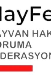 HayFed Başkanı Nihal Kasa, Bayram Tatili Hayvanlar İçin Felaket Olmasın”