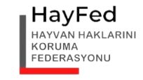 HayFed Başkanı Nihal Kasa, Bayram Tatili Hayvanlar İçin Felaket Olmasın”