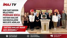Hayvan Hakkı Savunucuları TBMM’den Seslendi: “Öldüren Değil Yaşatan Yasa İstiyoruz”