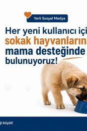 Piknew’den Hem Sosyal Medyaya Hem Sokak Hayvanlarına Destek