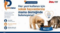 Piknew’den Hem Sosyal Medyaya Hem Sokak Hayvanlarına Destek