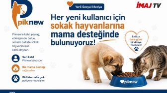 Piknew’den Hem Sosyal Medyaya Hem Sokak Hayvanlarına Destek