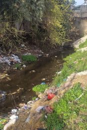 HATAY’IN KANAYAN YARASI: BEYAZ ÇAY ÖLÜYOR, VATANDAŞ NEFES ALAMIYOR!
