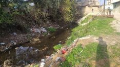 HATAY’IN KANAYAN YARASI: BEYAZ ÇAY ÖLÜYOR, VATANDAŞ NEFES ALAMIYOR!