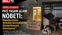 Gönüllülerden Pati Yaşam Alanı Nöbeti: “Köpeklerimizin Belediye Barınaklarına Gönderilmesini İstemiyoruz”