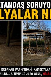 Vatandaş Soruyor: Kamelyalar Nerede? Verilen Sözün Üzerinden 17 Ay Geçti, Ortada Hâlâ Bir Şey Yok