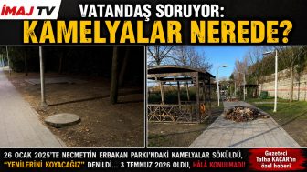 Vatandaş Soruyor: Kamelyalar Nerede? Verilen Sözün Üzerinden 17 Ay Geçti, Ortada Hâlâ Bir Şey Yok