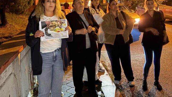Keçiören’de Vahşet:”14 Yaşındaki S.Ç İki Kediye Kan Dondurucu İşkence Yaptı”